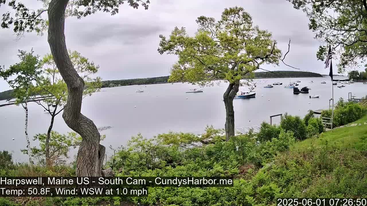 A calm, overcast day reveals a harbor filled with numerous boats, viewed from a grassy hill with trees in the foreground.