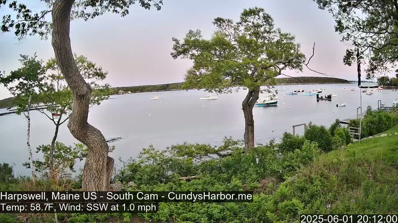 A calm bay with several boats is seen from a grassy hill overlooking the water, under a mostly clear sky.