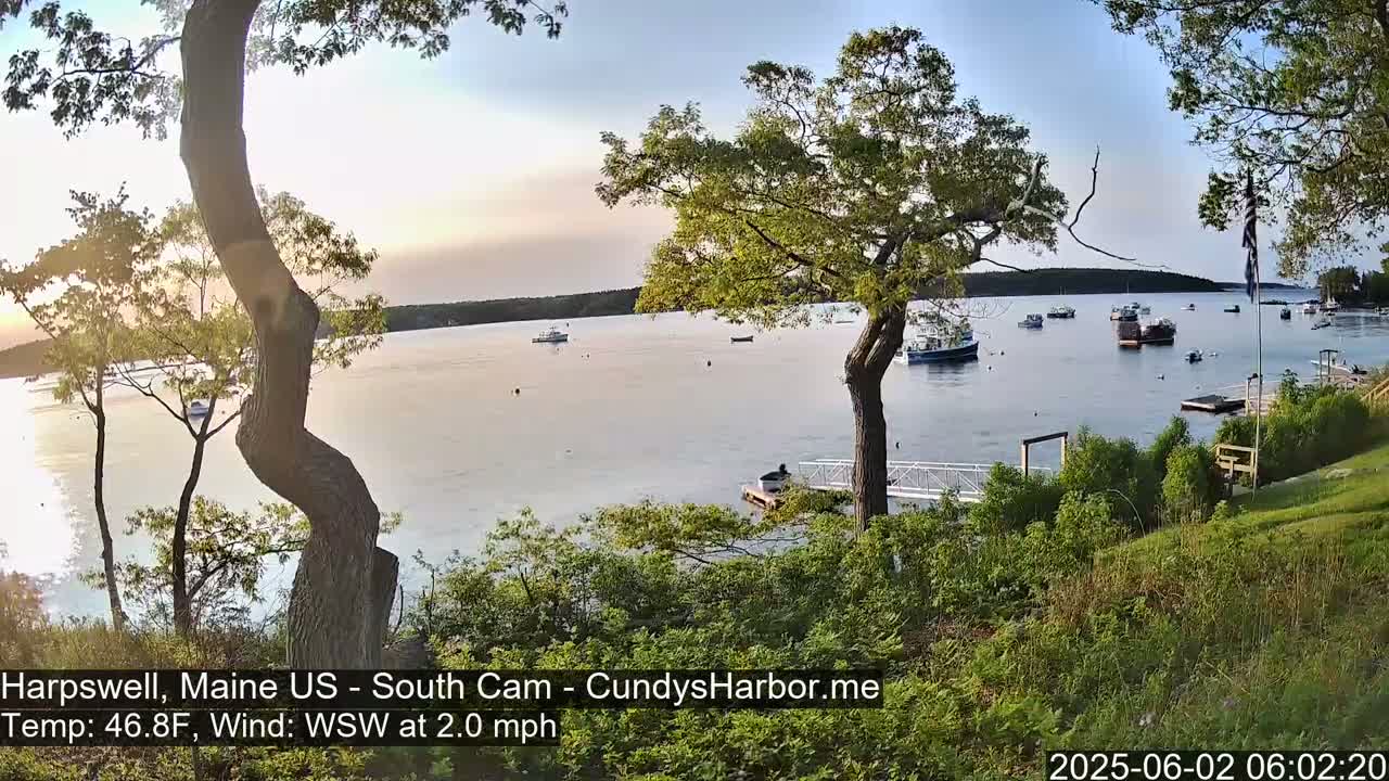 Several boats are moored in a calm bay at sunset, viewed from a grassy hilltop dotted with trees.