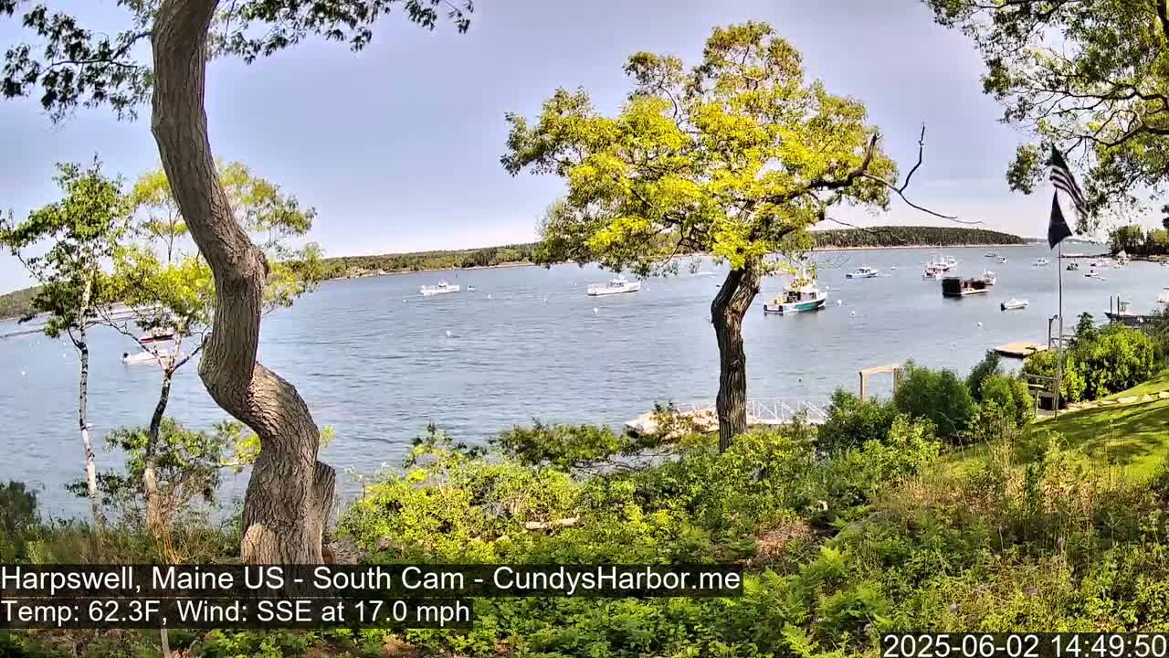 A calm bay with numerous boats is viewed from a grassy area, partially obscured by trees under a mostly clear sky, with a gentle south-southeast wind.