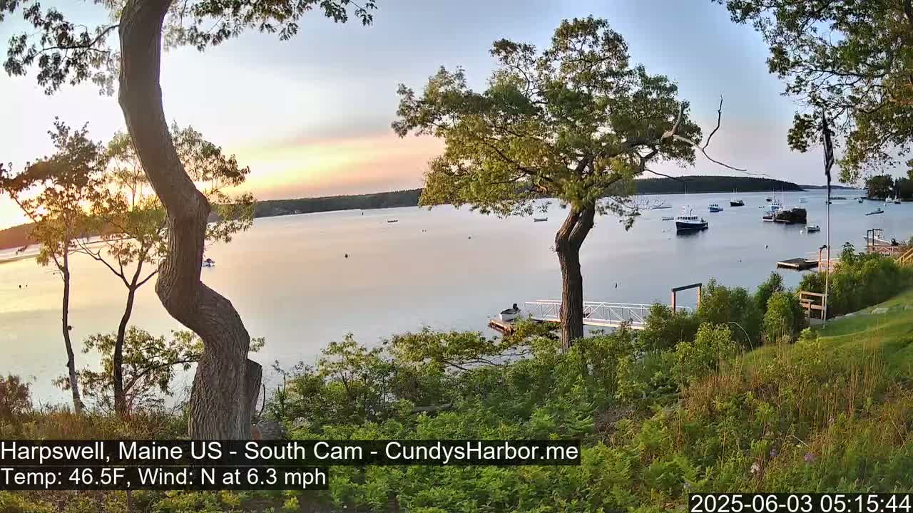 A calm, sunlit bay with several boats, viewed from a grassy hill overlooking a small dock, with trees in the foreground and background under a mostly clear sky.