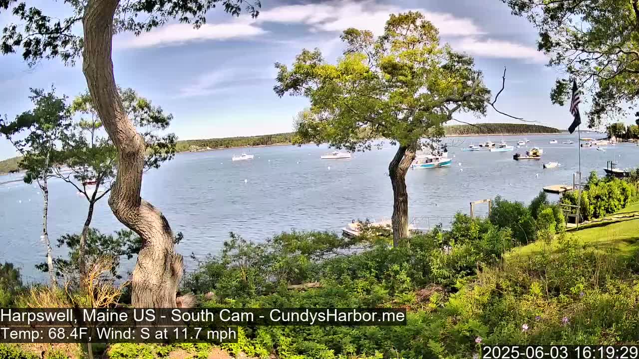 A calm bay with several boats is seen from a grassy hillside under partly cloudy skies.