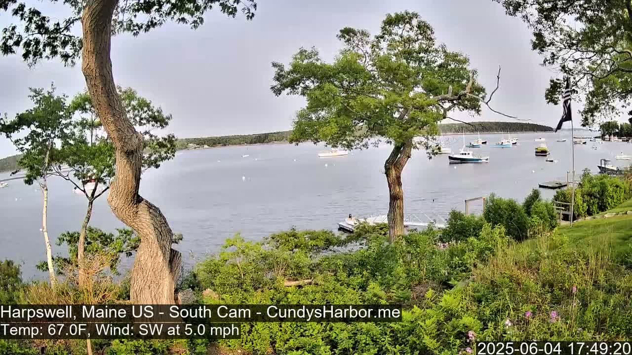 A calm body of water with numerous boats is viewed from a grassy shoreline, partially obscured by trees under an overcast sky.