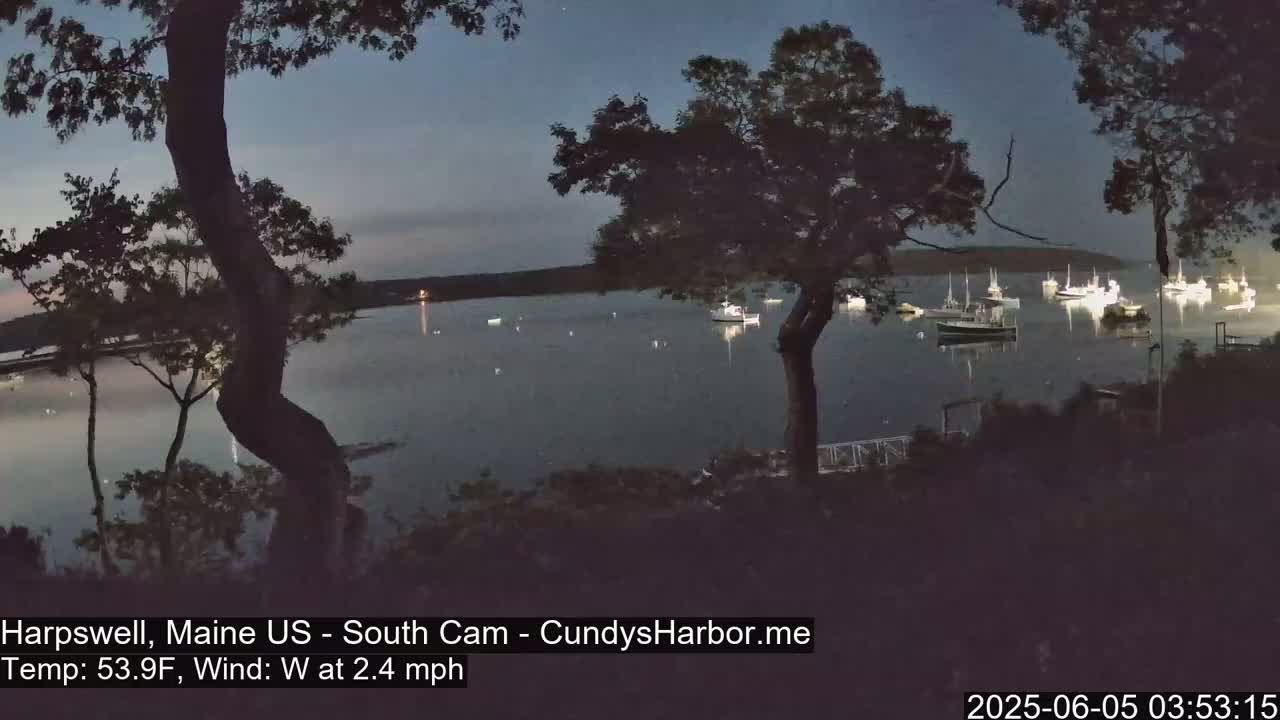 Several boats are moored in a calm, dark body of water under a twilight sky, viewed from a shoreline with silhouetted trees in the foreground.