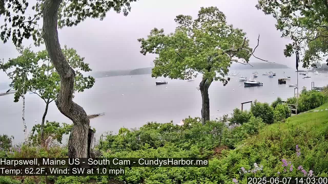 A hazy, overcast view of a calm body of water with several boats, seen from a slightly elevated vantage point with lush green vegetation in the foreground.