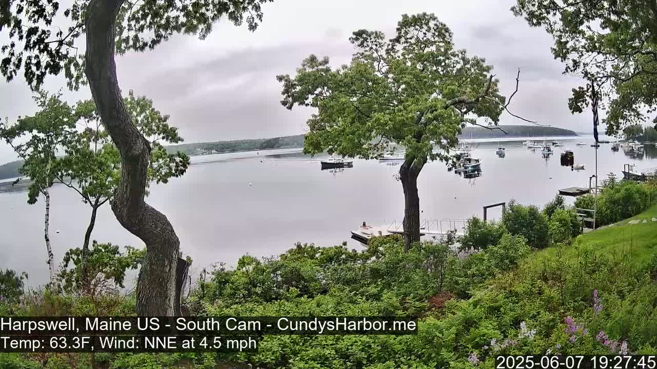 A calm bay with several boats is viewed from a hillside covered in lush green vegetation under an overcast sky.