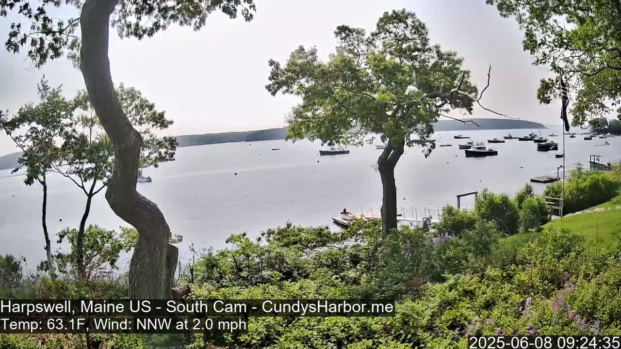 A calm, partly cloudy day shows a view of a harbor with several boats, seen from a vantage point with trees and greenery in the foreground.