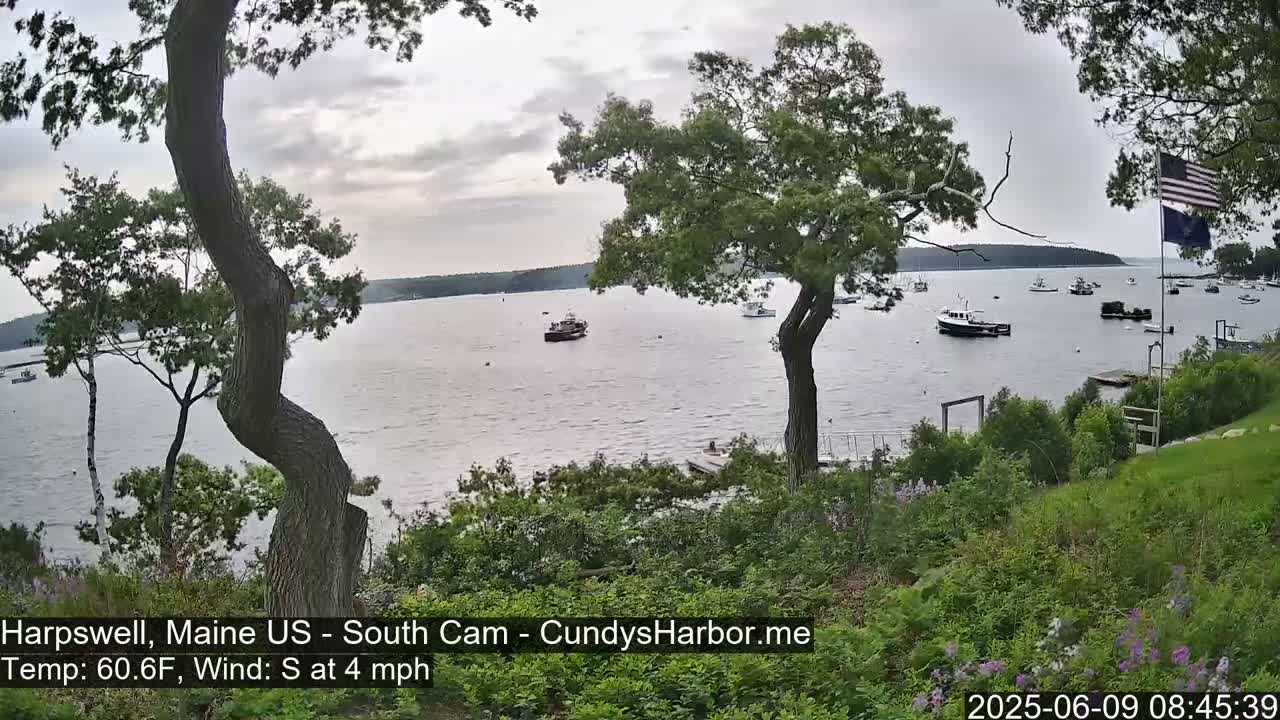 Several boats are anchored in a calm bay under a cloudy sky, viewed from a grassy hillside with trees in the foreground.