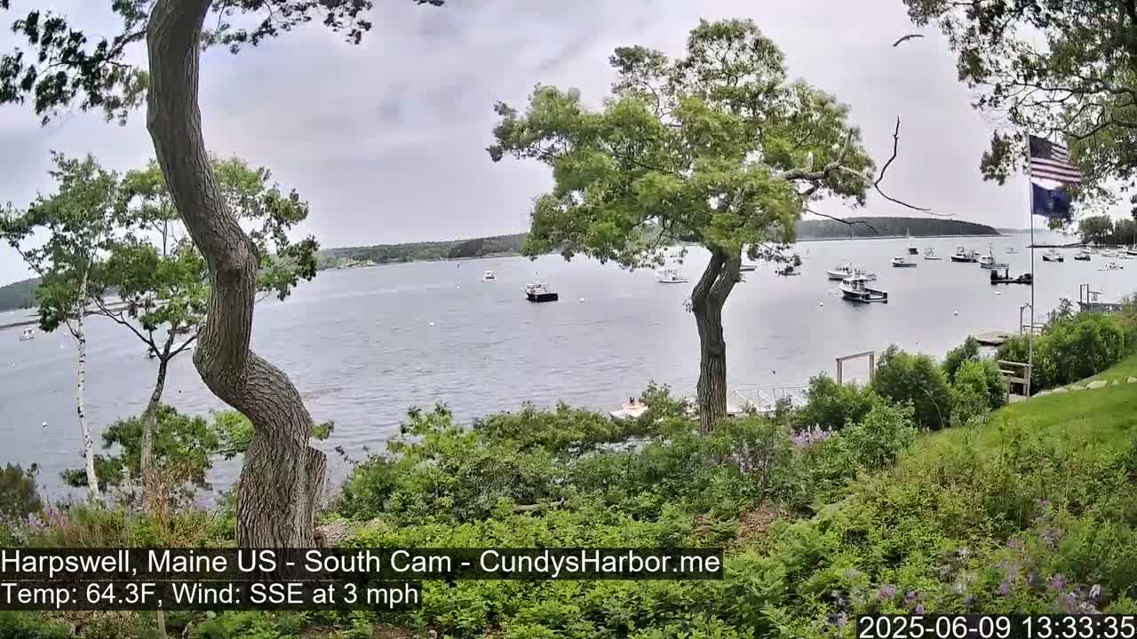 A calm bay with numerous boats is viewed from a grassy hillside under an overcast sky.