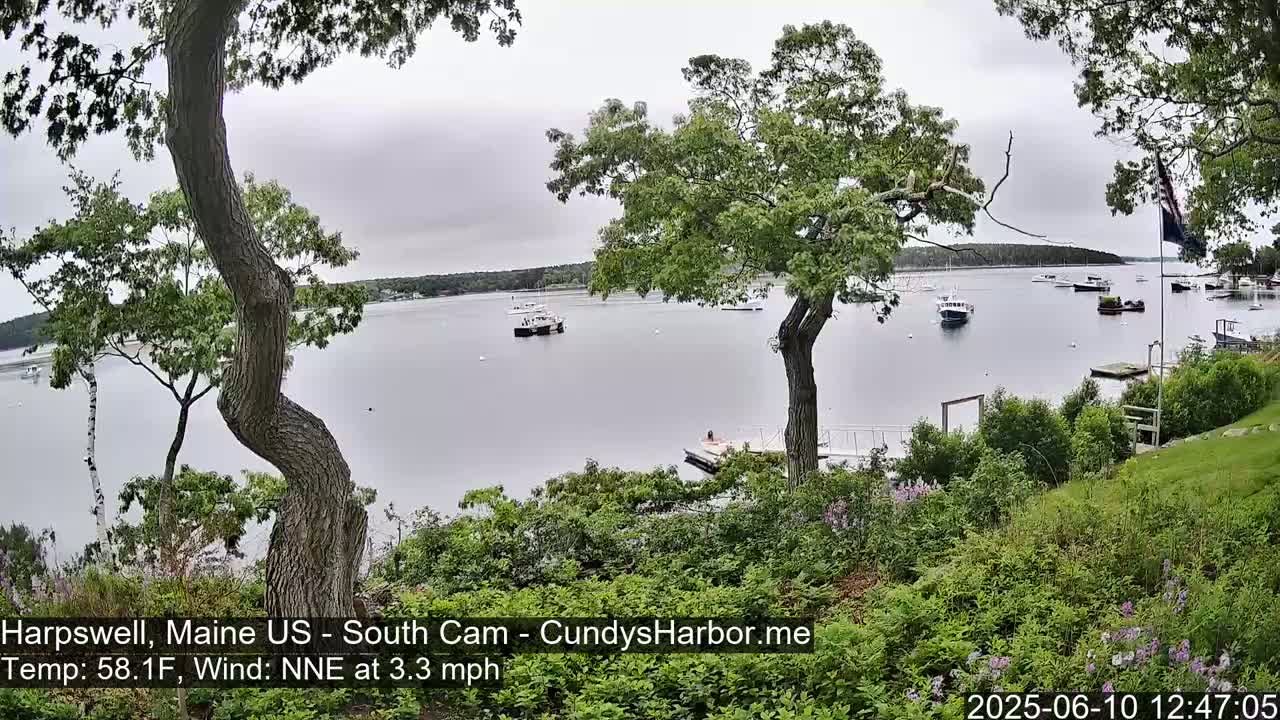 A calm, overcast day shows a view of a harbor with several boats from a grassy hill with trees, some flowering bushes, and a small dock.