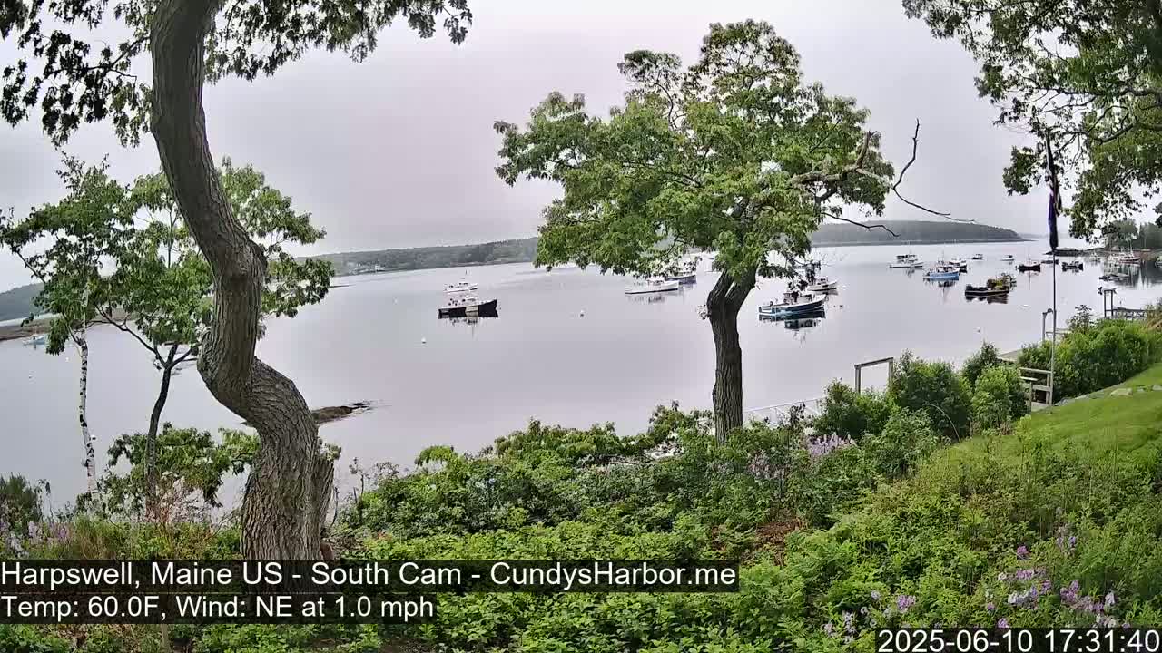 Cundy Harbor South Live Cam - Harpswell, Maine, USA
