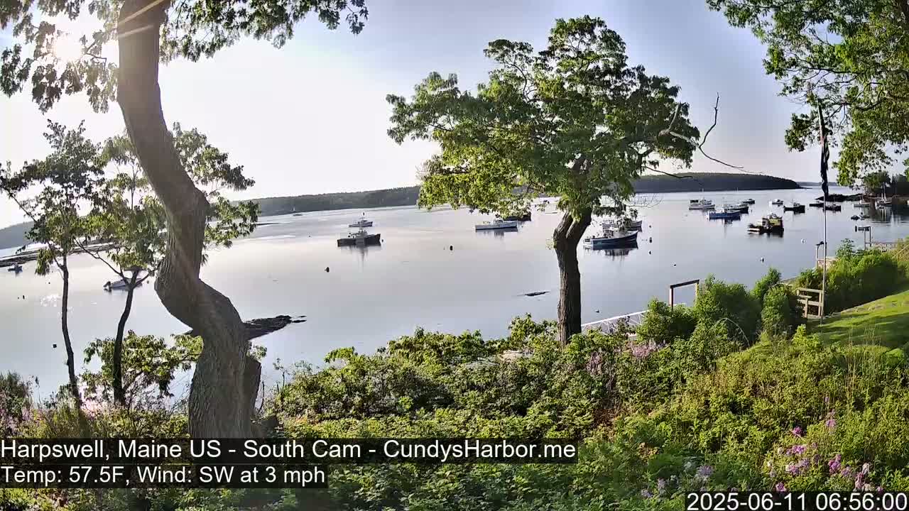 A calm bay with numerous boats is viewed from a leafy, tree-lined shore on a partly sunny morning.