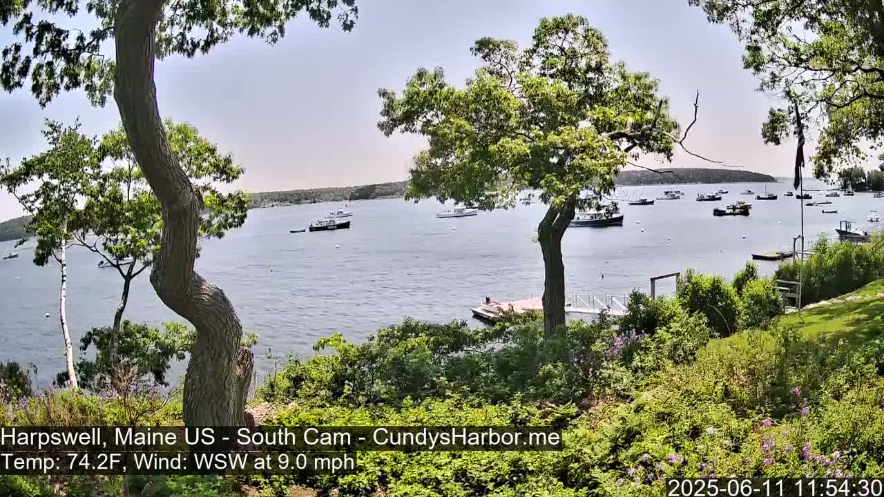 A calm bay with numerous boats is seen from a grassy shoreline dotted with trees on a sunny day with a west-southwest wind.