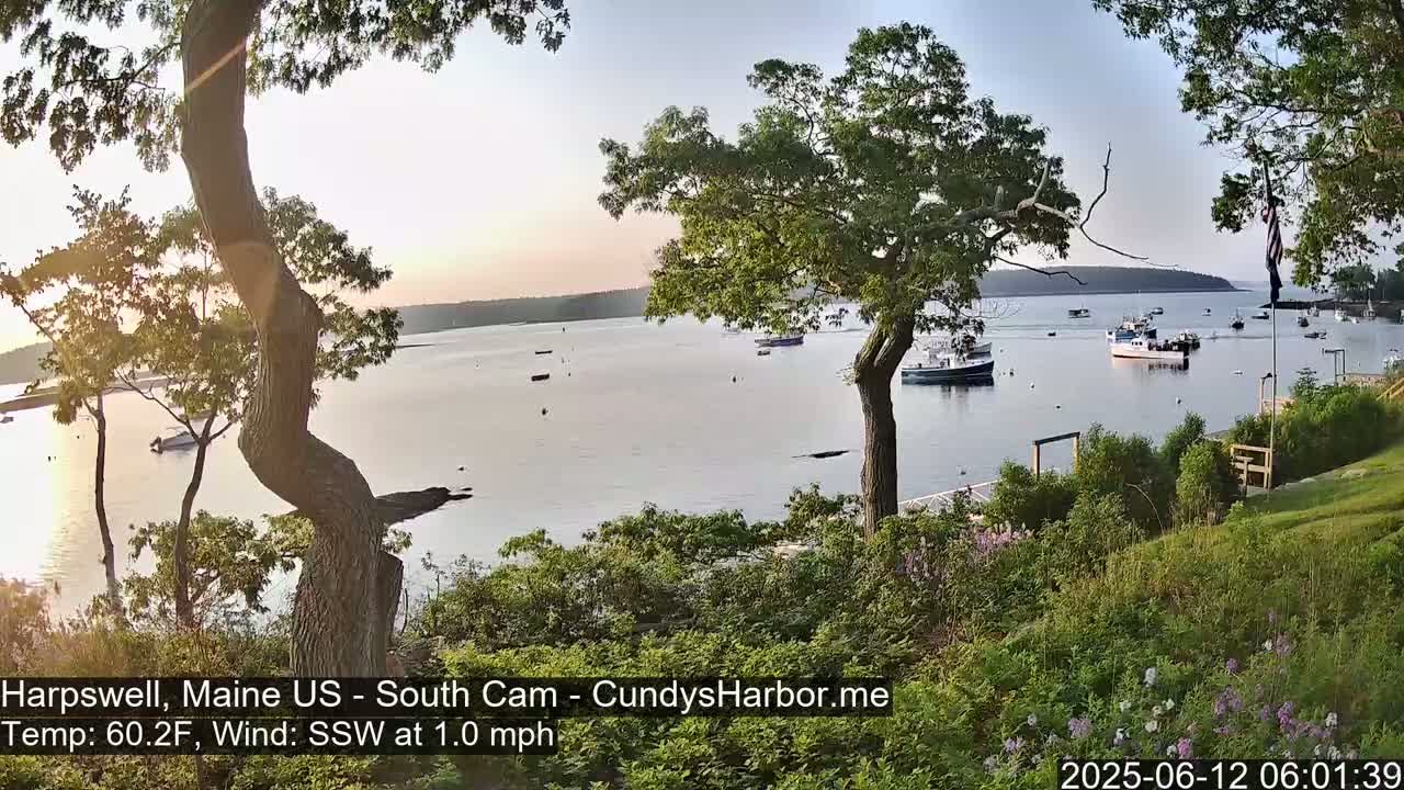 A calm bay with numerous boats is viewed from a grassy hillside, under a partly sunny sky, with several trees in the foreground.