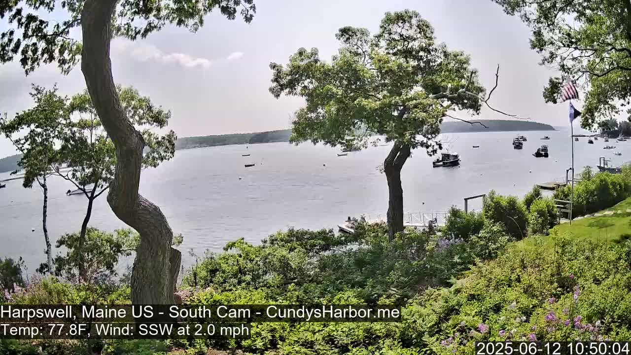 A calm body of water with several boats is seen from a lush, green hillside on a partly cloudy day with a gentle south-southwesterly wind.