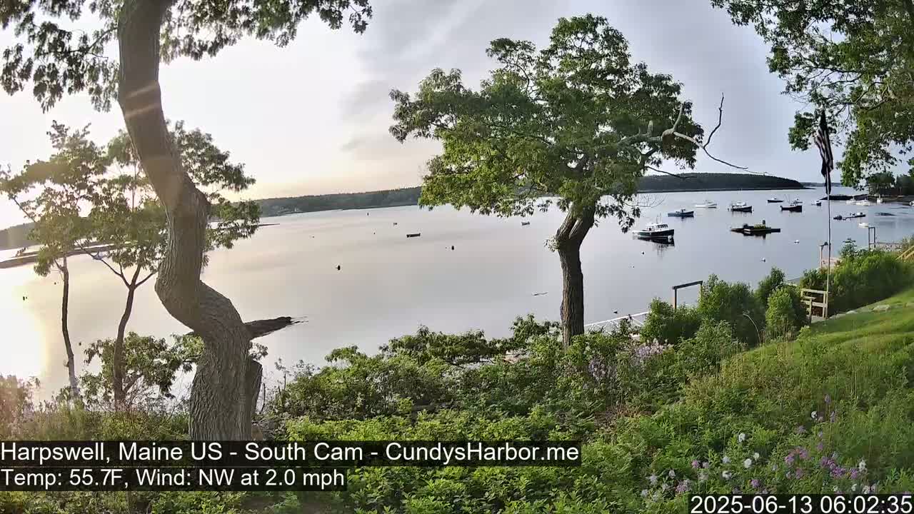 A calm, partly cloudy morning scene overlooks a harbor with several boats, viewed from a slightly elevated vantage point amongst lush green vegetation.