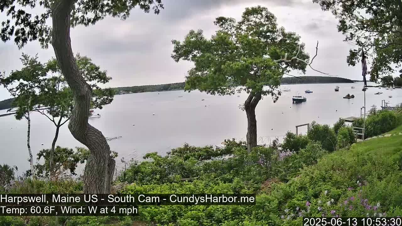 A calm body of water with several boats is viewed from a slightly elevated vantage point, featuring lush green vegetation in the foreground under an overcast sky.