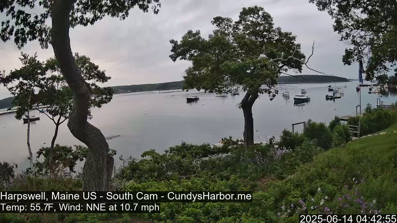 A calm, overcast day reveals a tranquil harbor scene with numerous boats at anchor, viewed from a lush, green hillside with several trees.