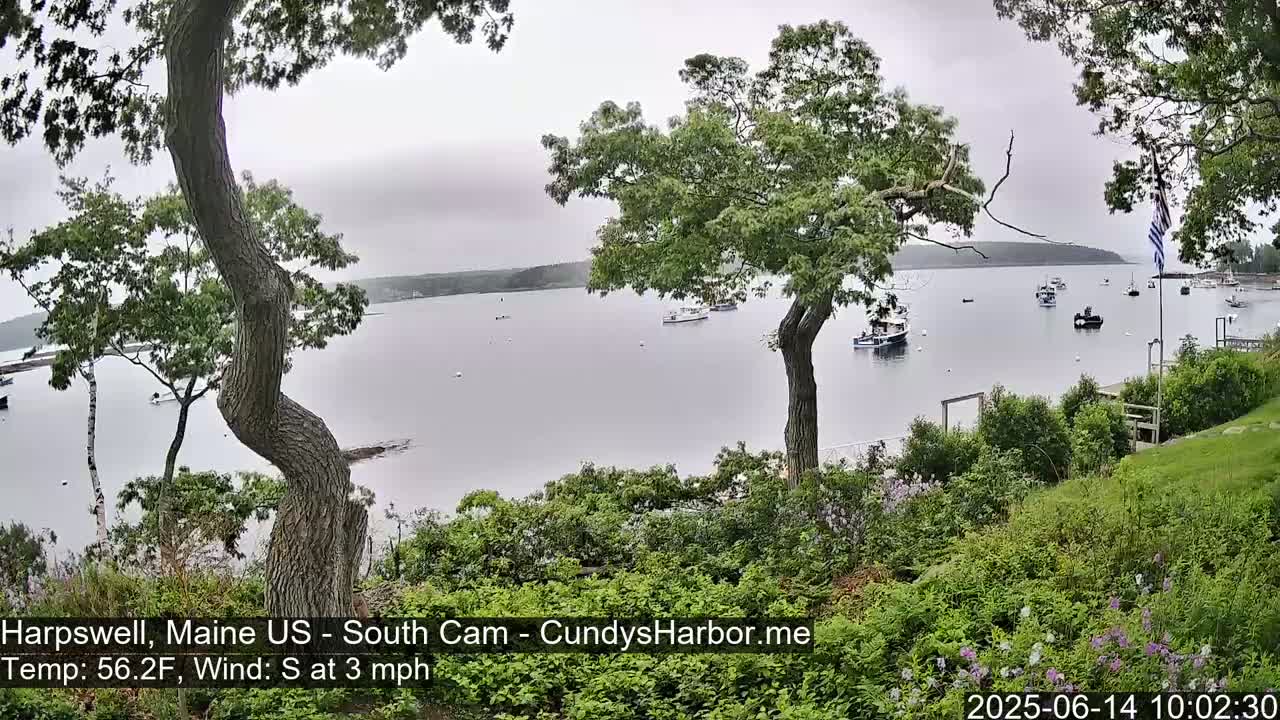 A calm, overcast day reveals a tranquil harbor scene viewed from a lush, green hillside, with several boats scattered across the water.