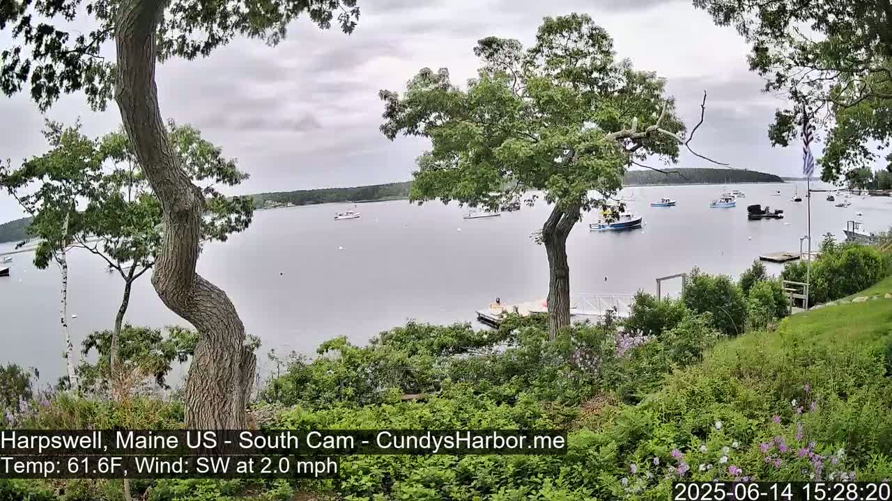 A calm, overcast day reveals a tranquil harbor scene viewed from a lush, green hillside, with several boats scattered across the water.