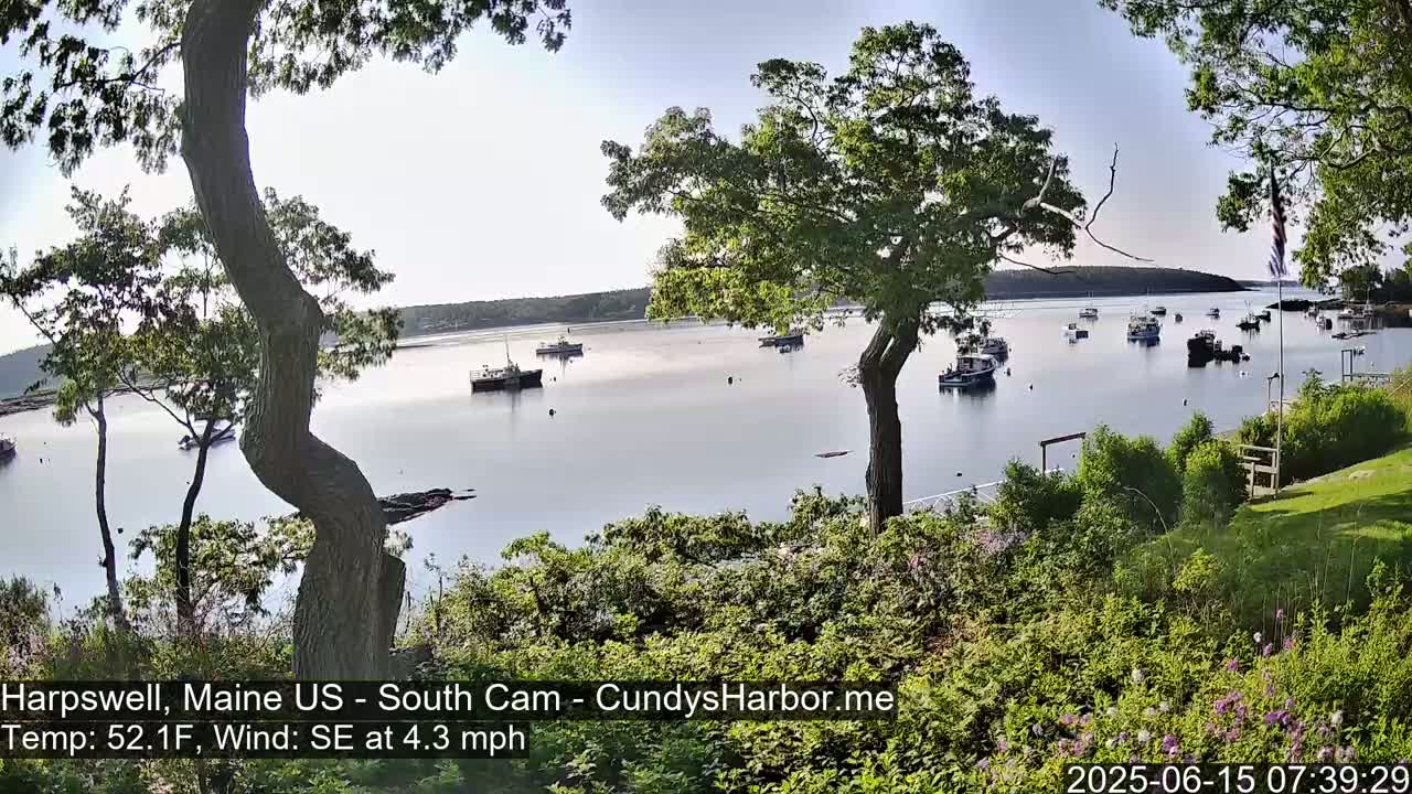 A calm body of water with several boats is viewed from a shoreline with green vegetation and trees, under a partly sunny sky.