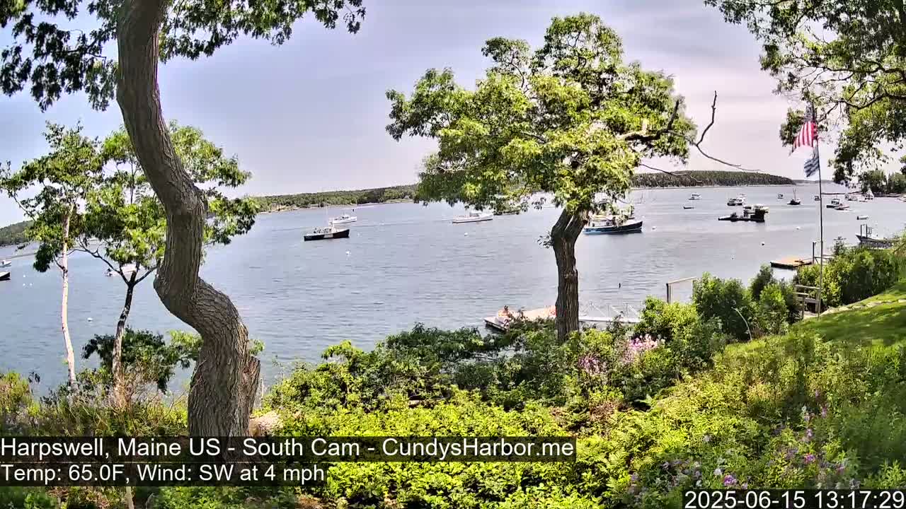 A calm body of water with several boats is visible from a lush green hillside on a partly sunny day with a southwest wind.