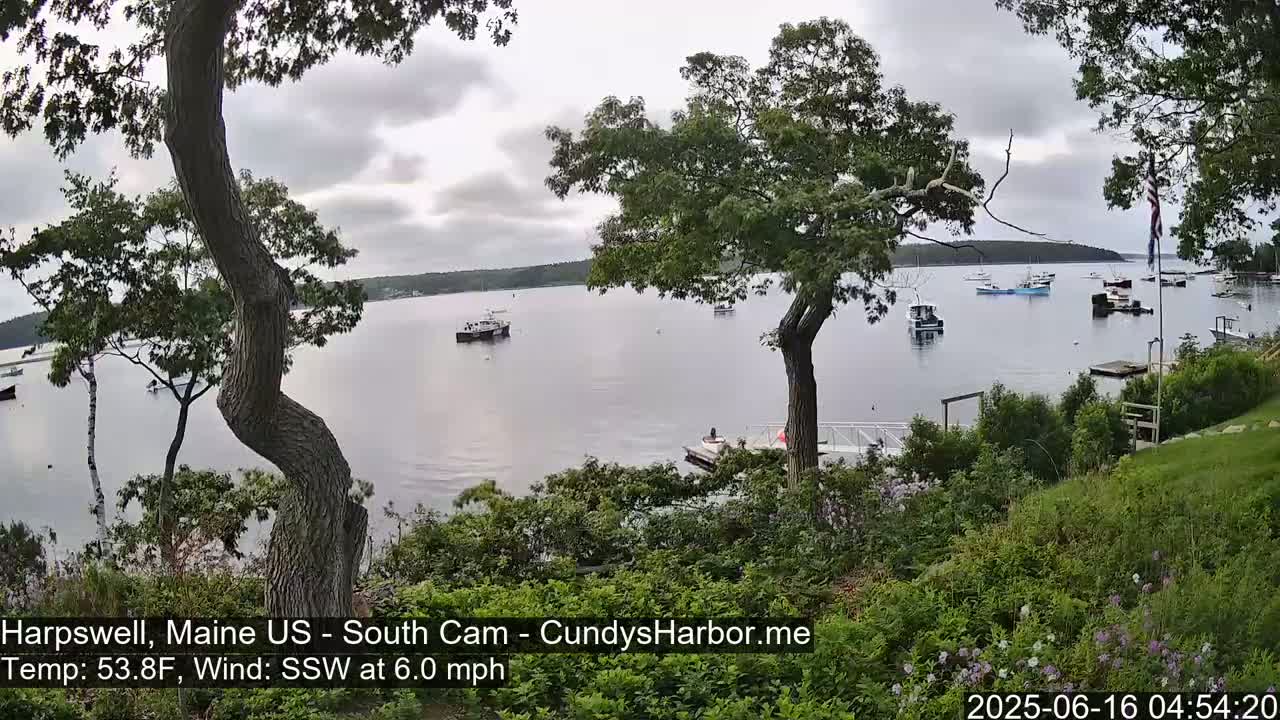 A calm bay with numerous boats is viewed from a verdant hillside under an overcast sky.