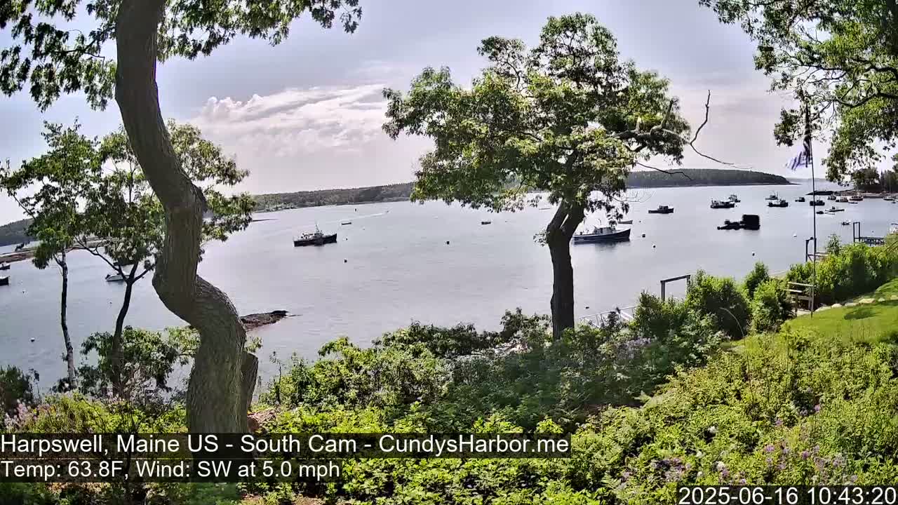 A partly cloudy view of a calm bay with several boats, seen from a grassy area with lush green vegetation and trees under a partly cloudy sky.