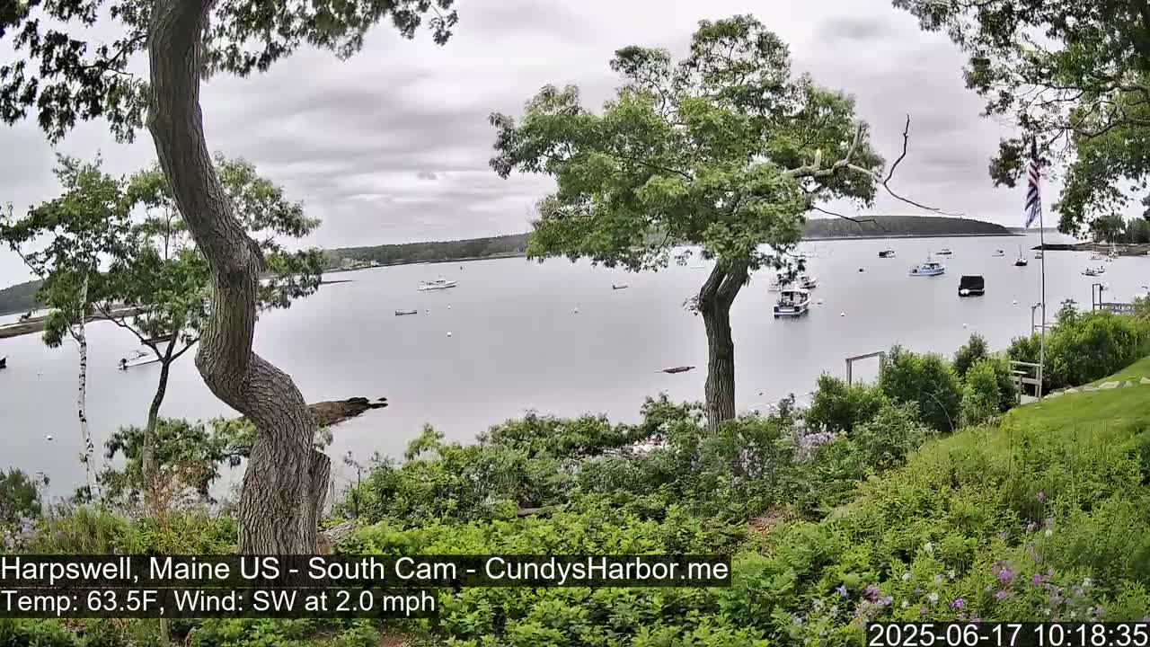 A tranquil harbor scene on an overcast day shows numerous boats at anchor, viewed from a slightly elevated vantage point with lush green vegetation in the foreground.
