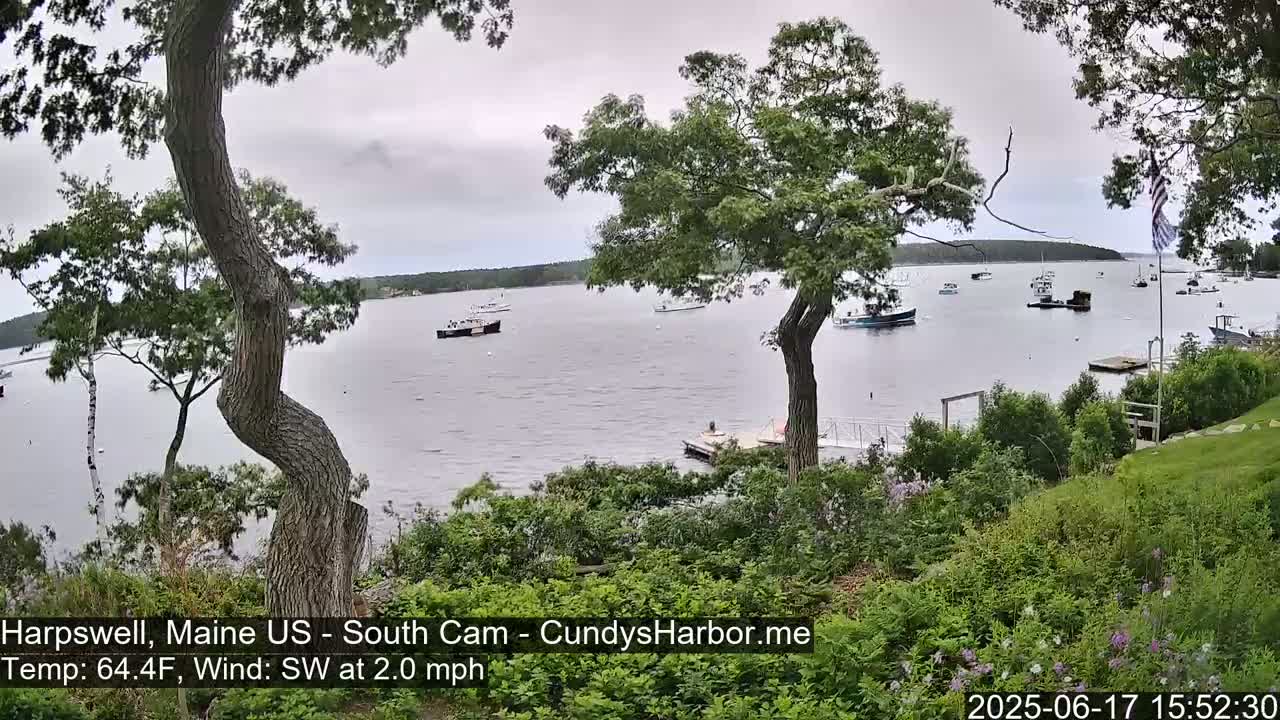 Several boats are moored in a calm bay under an overcast sky, viewed from a grassy hill dotted with trees and shrubs.