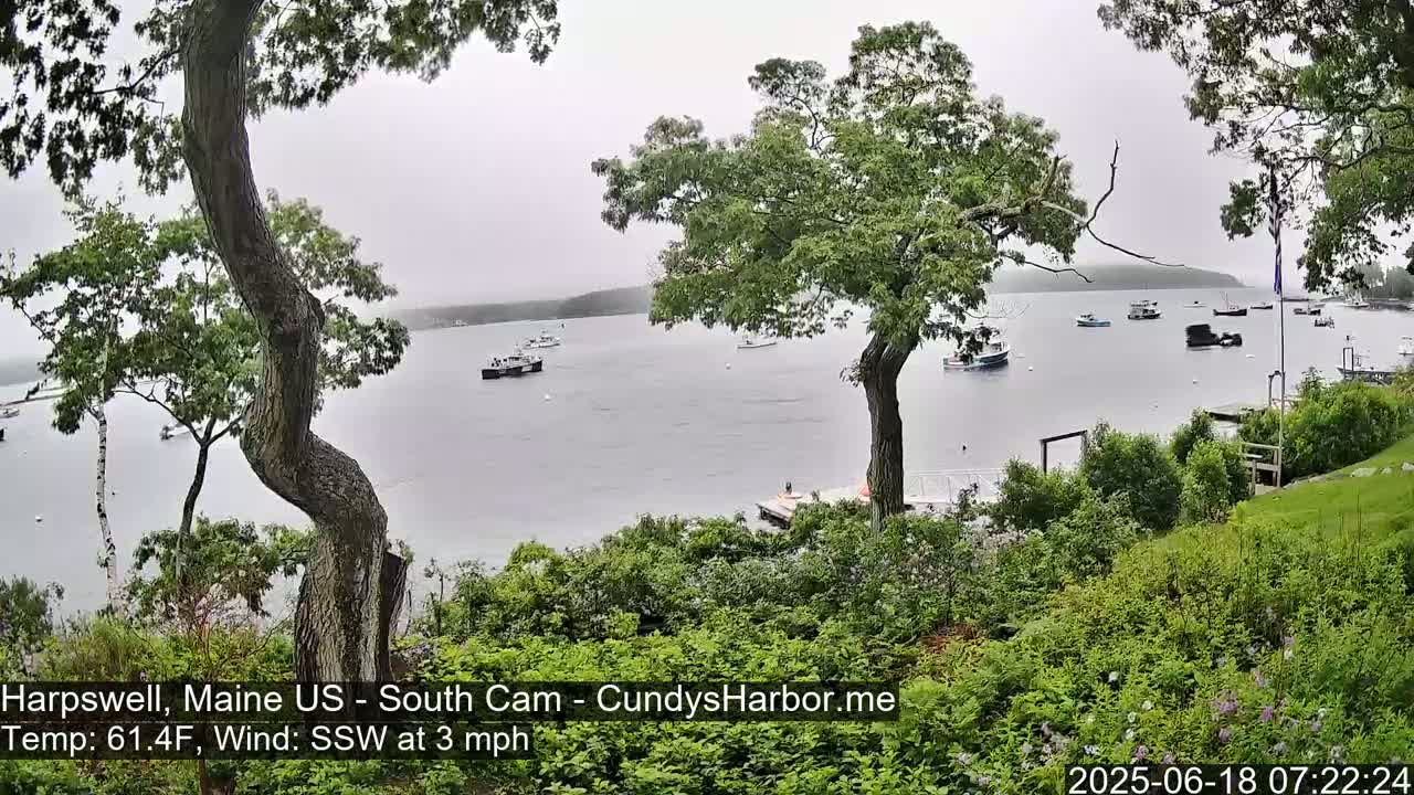 Overlooking a calm body of water with several boats, under an overcast sky, from a grassy area with lush green vegetation and trees.