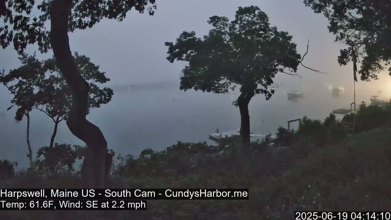A foggy, hazy view of a body of water from a hilltop, showing several trees silhouetted against the mist.