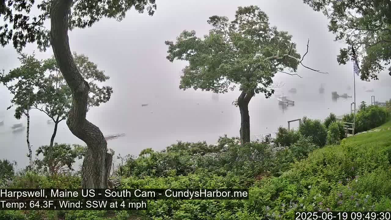 A foggy, calm body of water is visible from a hillside, with several boats and lush green vegetation in the foreground.