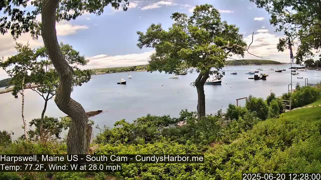 A calm bay with numerous boats is viewed from a grassy hillside under a partly cloudy sky with a strong west wind.