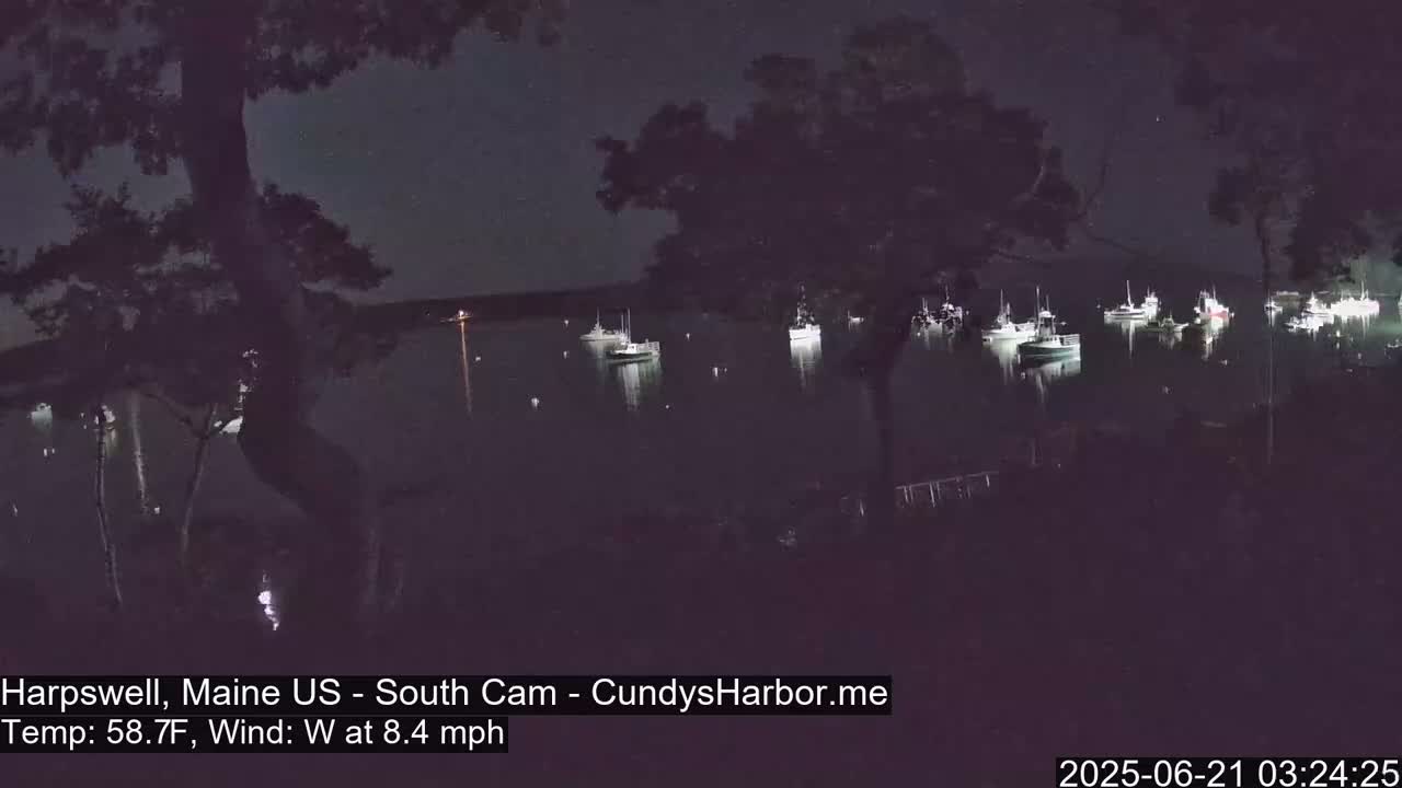 Several boats are illuminated at night on a calm body of water, viewed from a dark shoreline with trees.