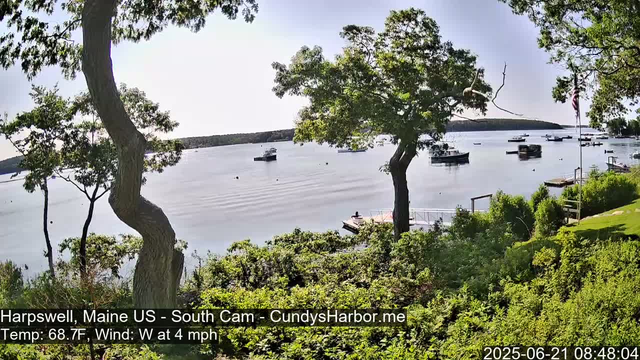 A calm body of water with several boats is viewed from a hillside, partially obscured by leafy green trees on a partly sunny day with a gentle westerly wind.