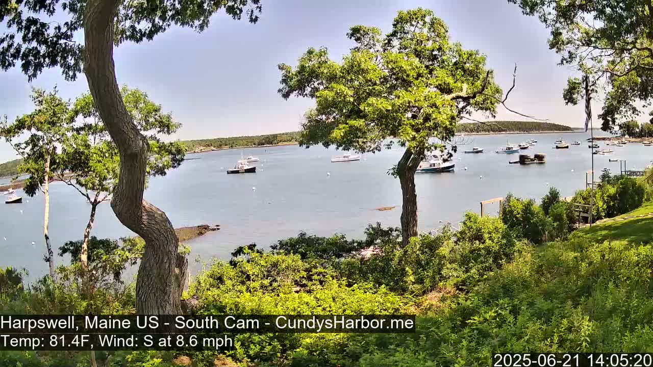 A calm bay with numerous boats is viewed from a verdant hillside on a sunny day with a south wind.