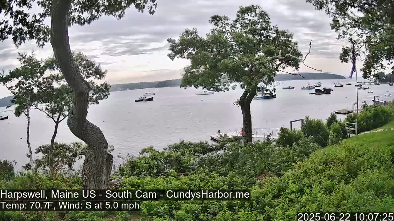 A calm body of water with numerous boats is viewed from a verdant, tree-lined shoreline under an overcast sky.