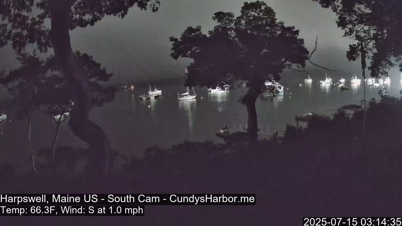 A nighttime view of a calm harbor with numerous boats moored, seen from a slightly elevated vantage point behind trees under a dark, cloudy sky.