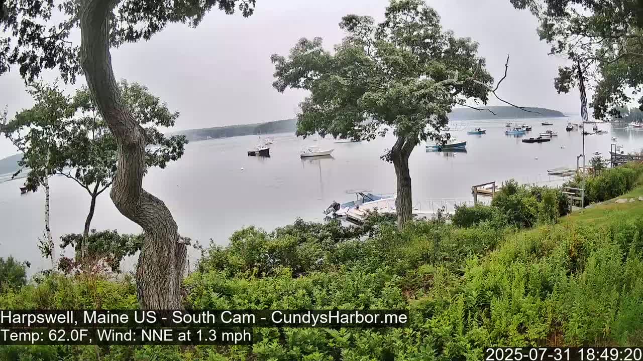 A calm, overcast day shows a tranquil bay with several boats moored, viewed from a verdant hillside with trees in the foreground.