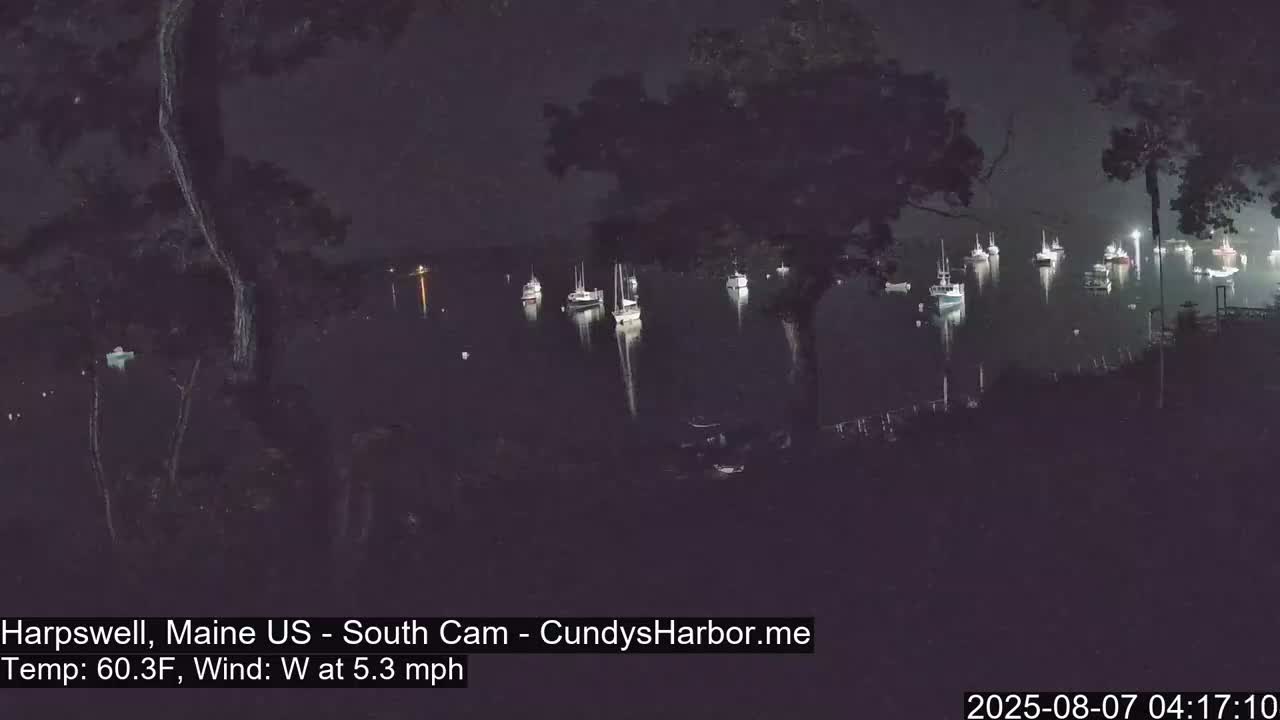 A nighttime view of numerous boats moored in a calm harbor under a dark sky, with a gentle westerly wind.