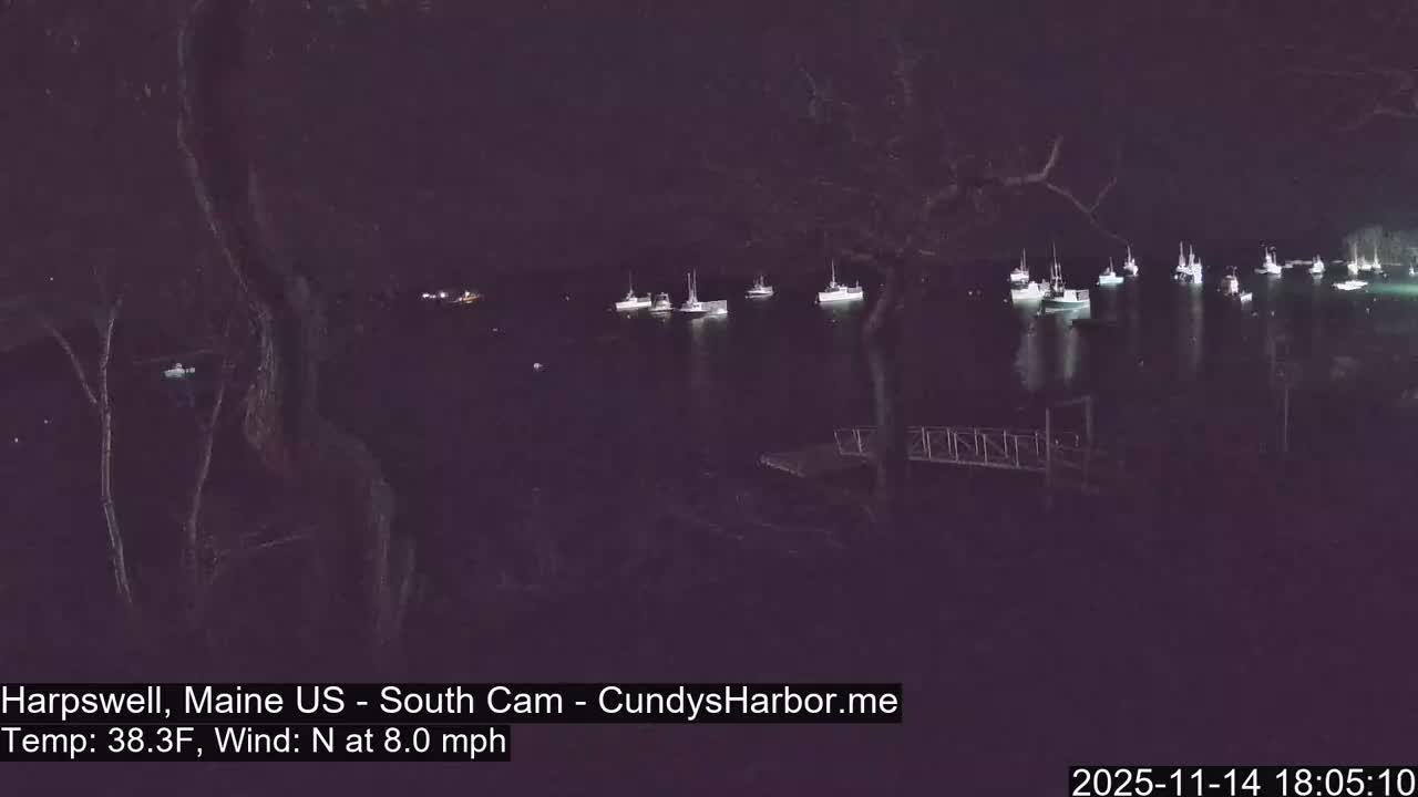 Numerous boats with illuminated superstructures are anchored on calm water at night, framed by silhouetted tree branches and a pier on the right, under clear and calm conditions.