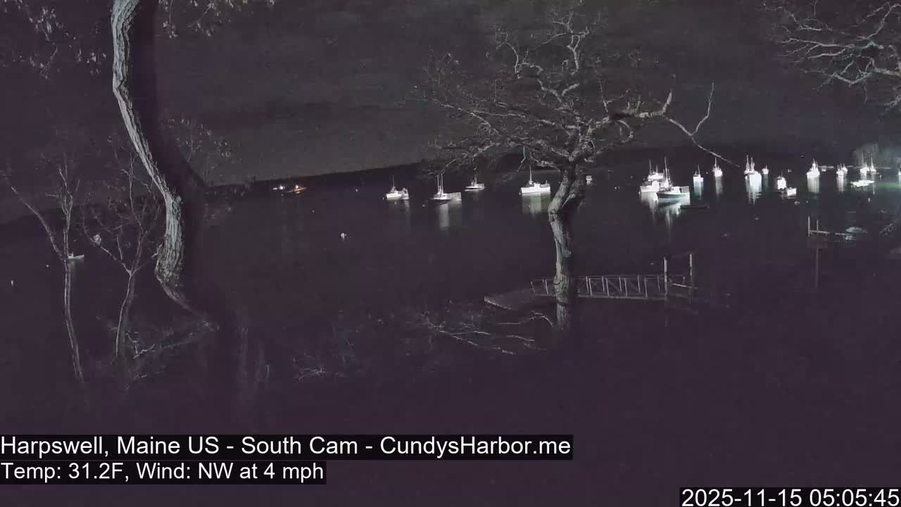 A dark, clear night reveals a calm harbor filled with numerous moored boats reflecting lights, framed by bare trees and a visible dock structure.