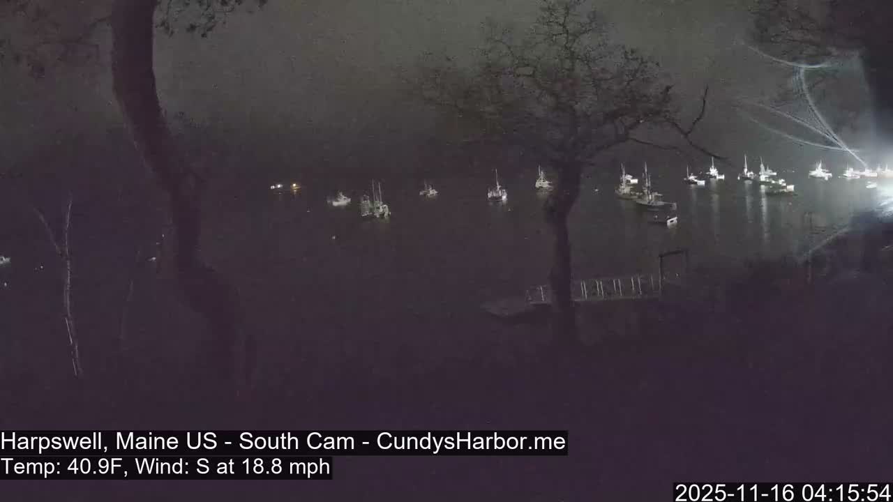 A hazy nighttime view reveals numerous boats anchored in a harbor, framed by trees, under dark and misty conditions.