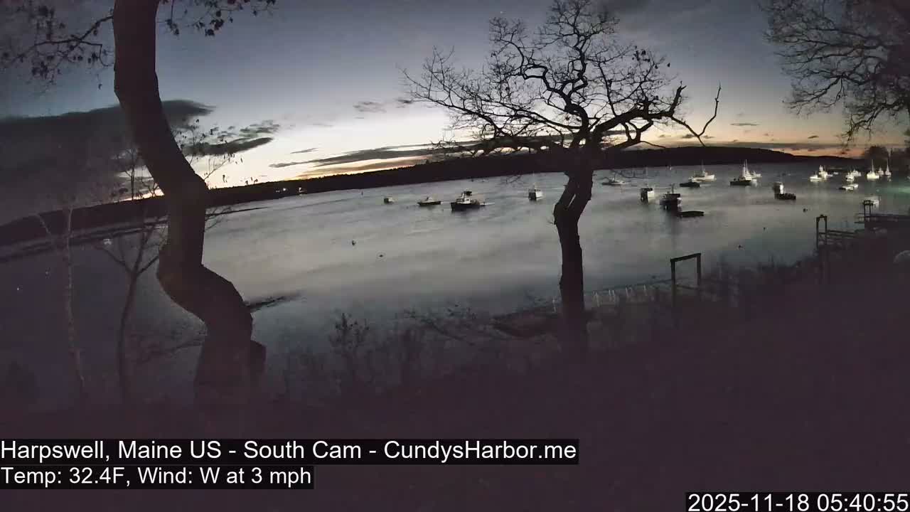 A hazy nighttime view reveals numerous boats anchored in a harbor, framed by trees, under dark and misty conditions.