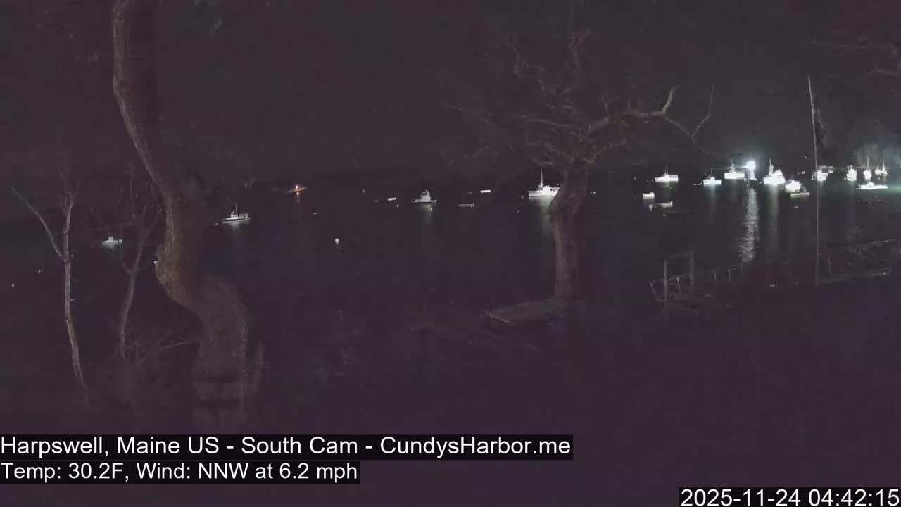 A dark nighttime view of a harbor shows numerous illuminated boats anchored on the water, with bare trees silhouetted on the banks under clear conditions.