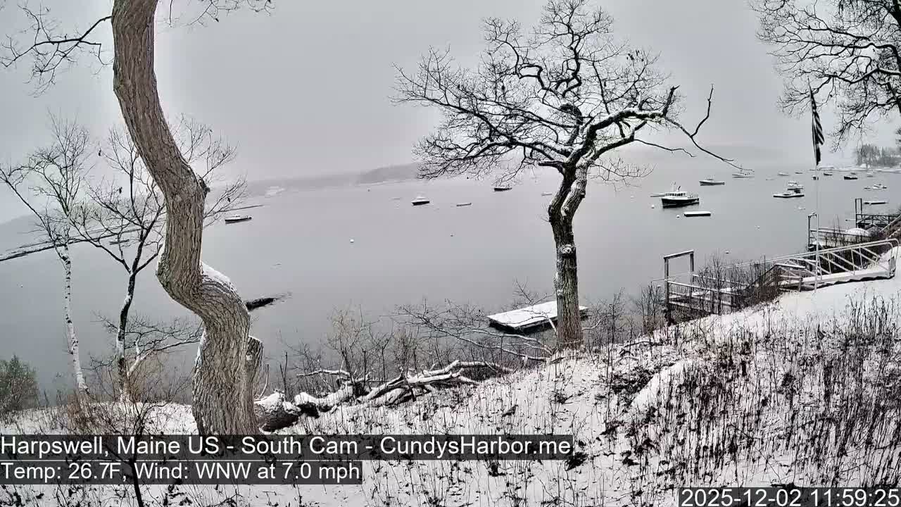 A winter scene depicts a snow-covered hillside with bare trees overlooking a harbor dotted with numerous boats, all under a grey, overcast sky.