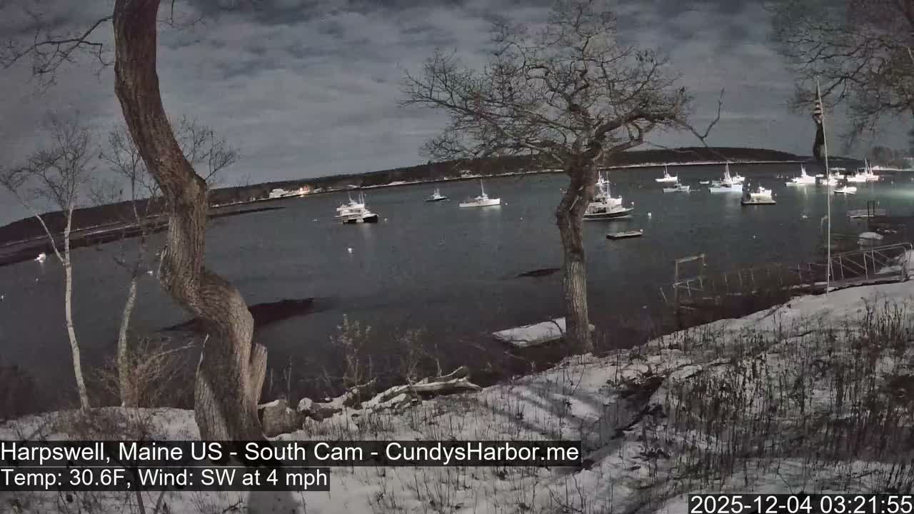 A snowy shoreline with bare trees frames a dark harbor at night, where numerous boats are visible on the water under an overcast sky.