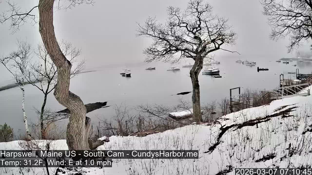Cundy Harbor South Live Cam - Harpswell, Maine, USA