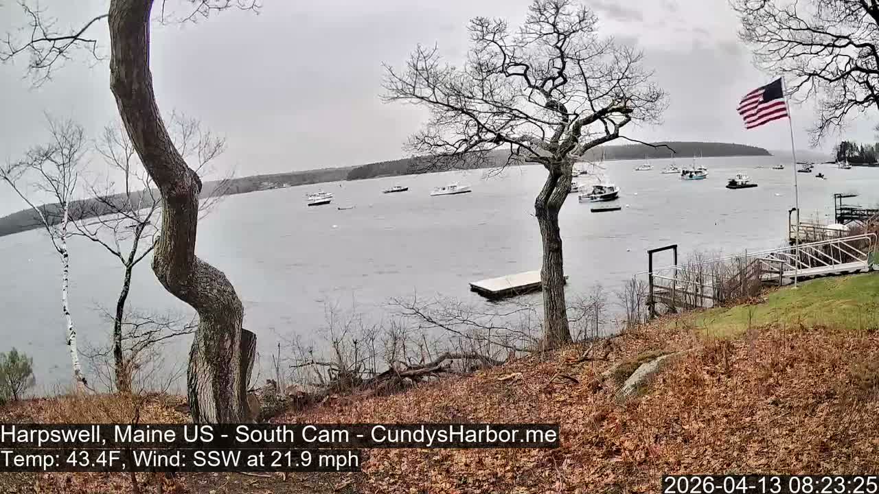 A snowy shoreline with bare trees frames a dark harbor at night, where numerous boats are visible on the water under an overcast sky.